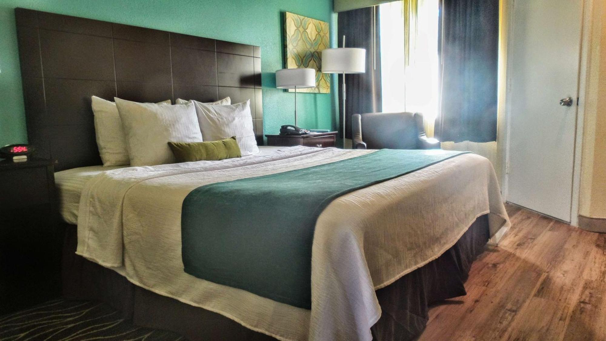 King Suite with Sofa Bed - Non-Smoking